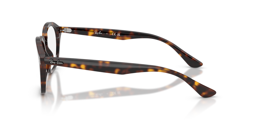 Ray-Ban RB5451 Optics