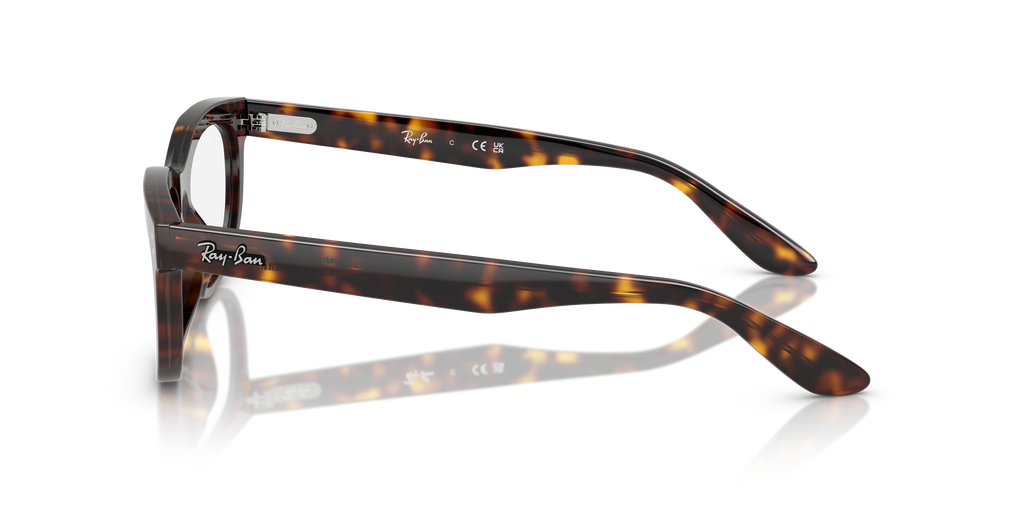 Ray-Ban RB5489 Balorette Optics