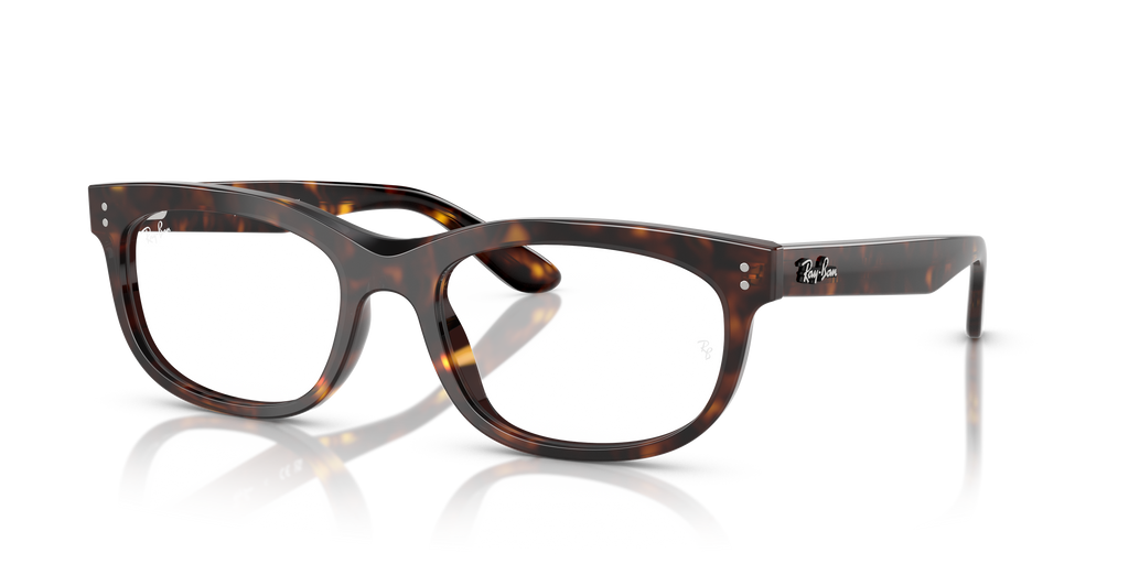 Ray-Ban RB5489 Balorette Optics