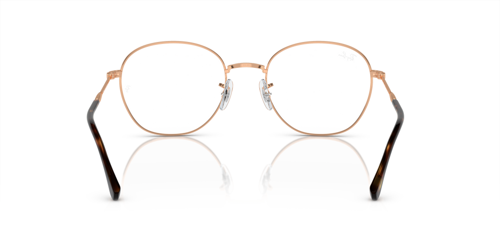 Ray-Ban RB6509 Optics