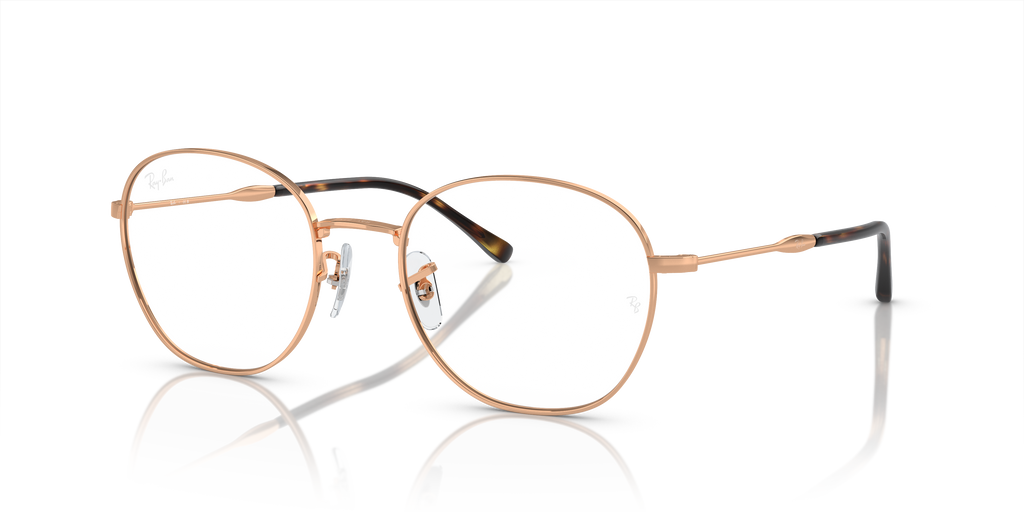 Ray-Ban RB6509 Optics