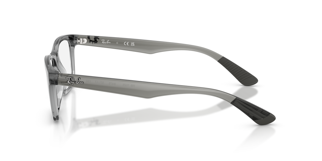 Ray-Ban RB7025 Optics