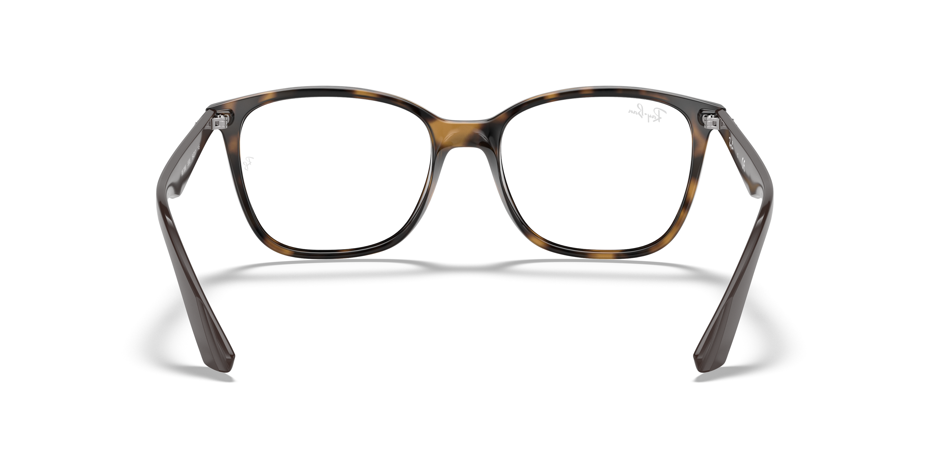 Ray-Ban RB7066 Optics