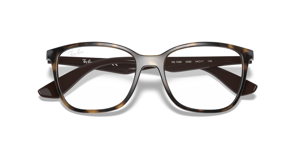 Ray-Ban RB7066 Optics