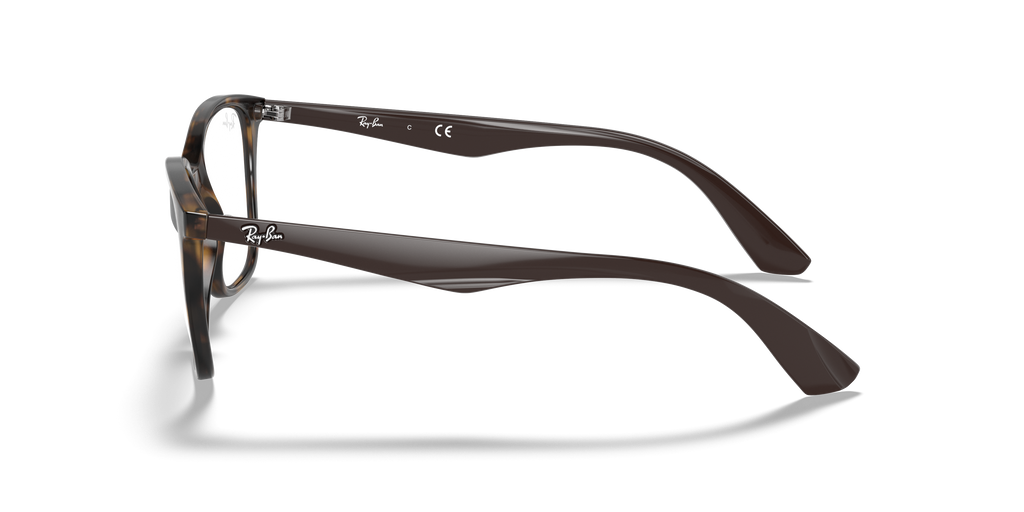 Ray-Ban RB7066 Optics