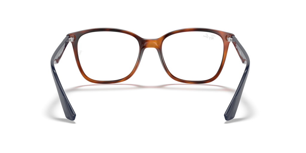 Ray-Ban RB7066 Optics