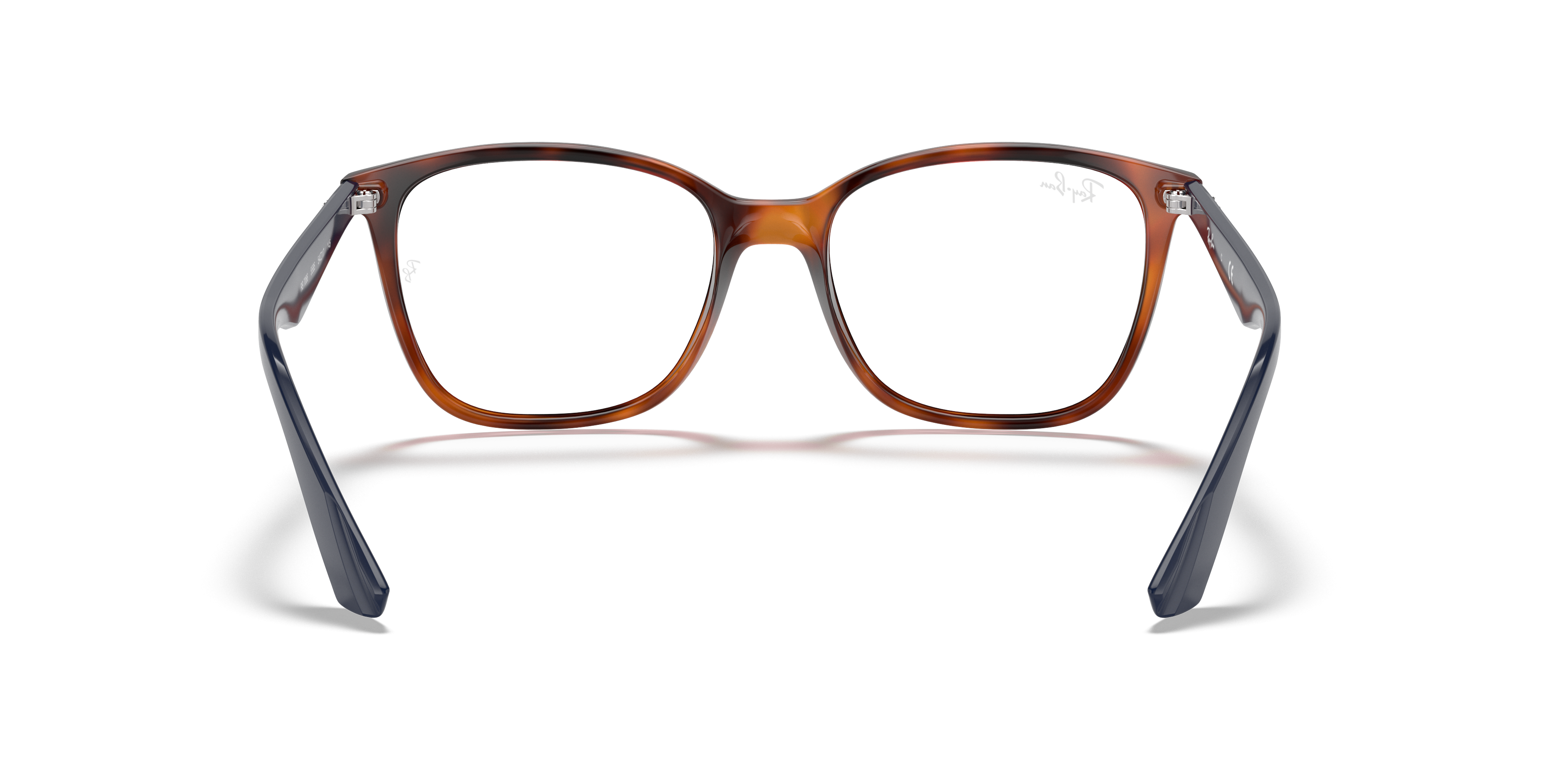 Ray-Ban RB7066 Optics