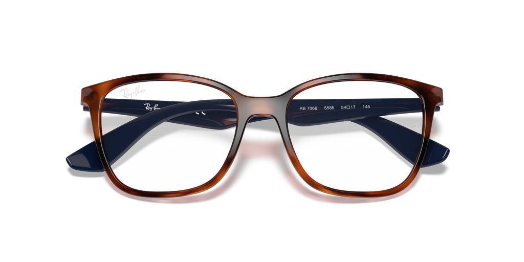 Ray-Ban RB7066 Optics