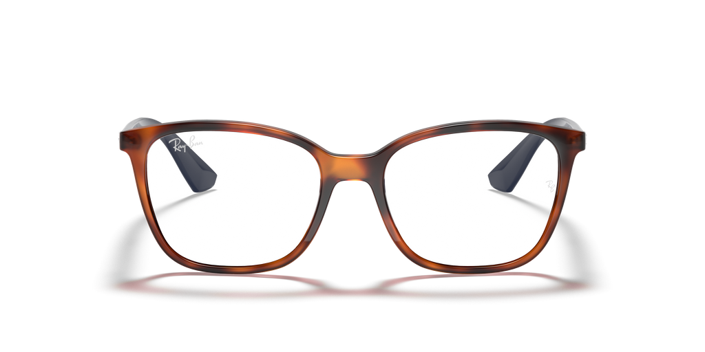 Ray-Ban RB7066 Optics
