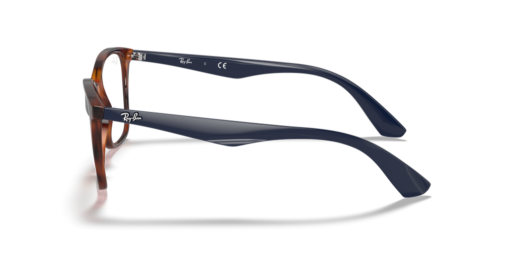 Ray-Ban RB7066 Optics