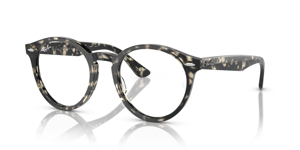 Ray-Ban RB7680V Larry Optics
