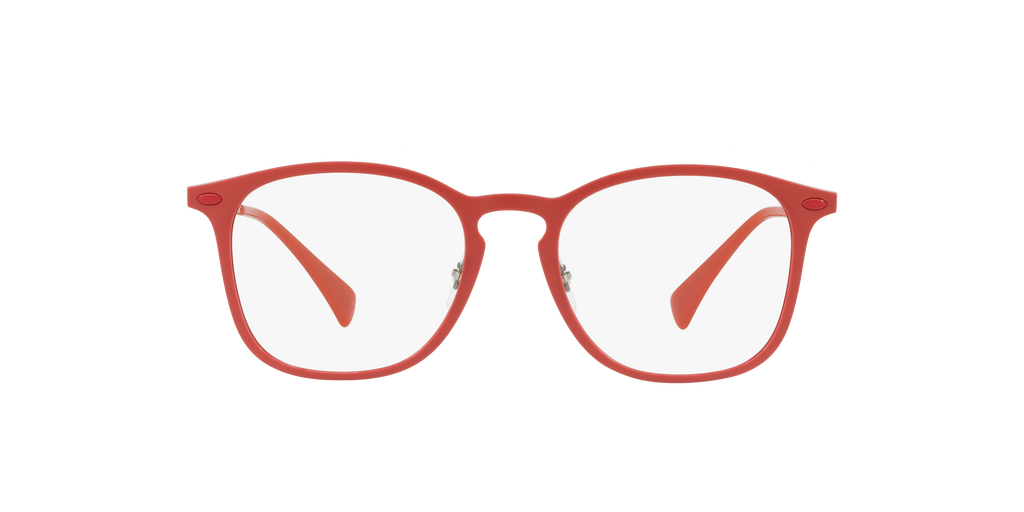 Ray-Ban RB8954 Optics