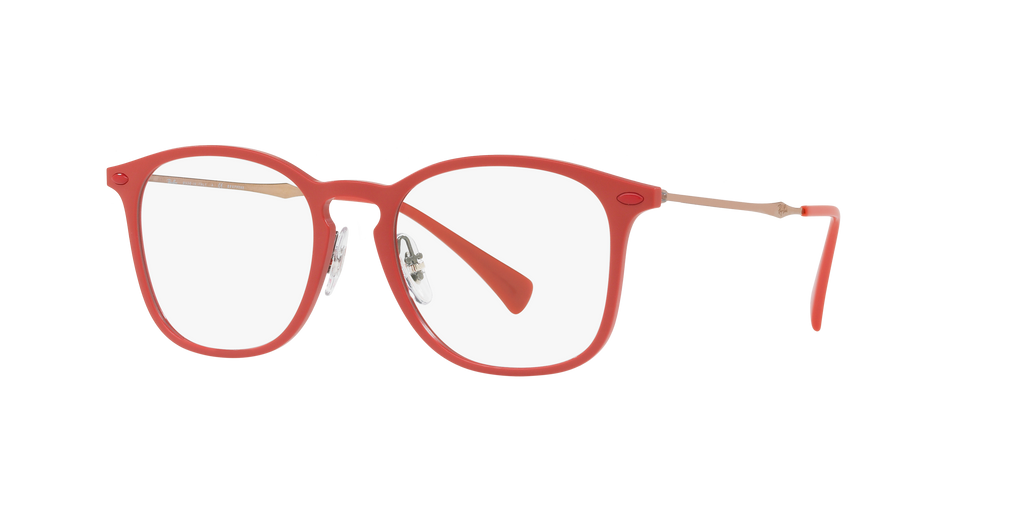 Ray-Ban RB8954 Optics