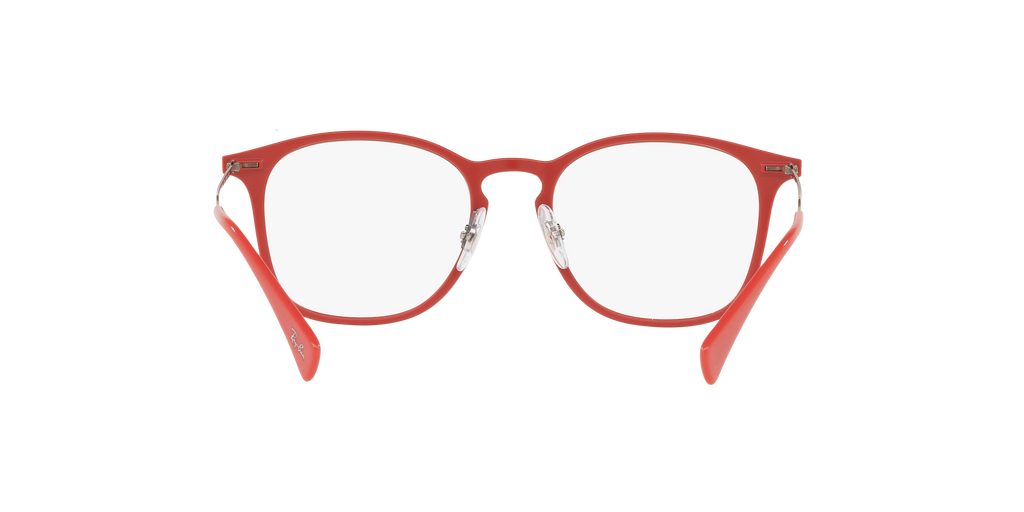 Ray-Ban RB8954 Optics