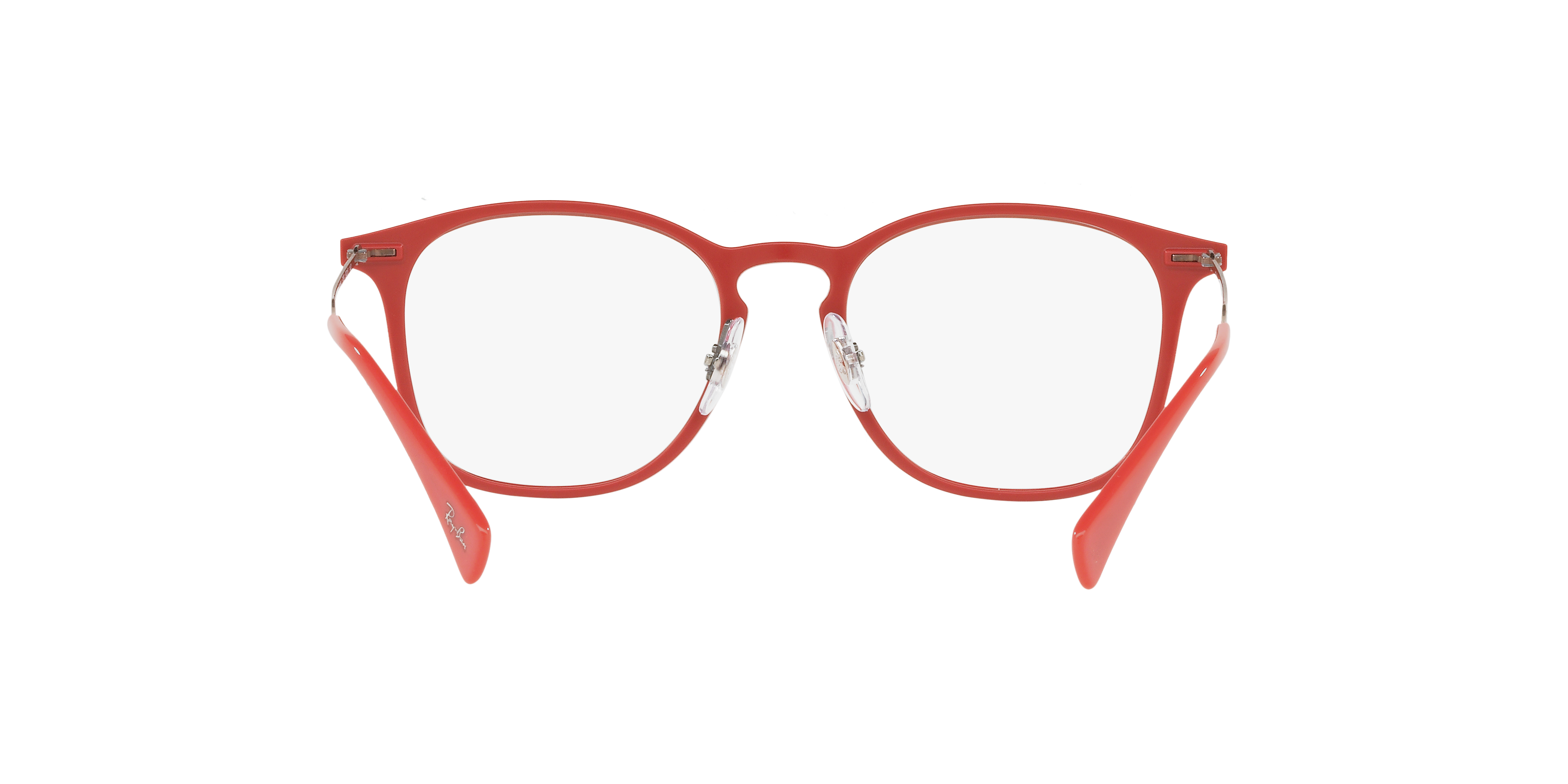 Ray-Ban RB8954 Optics