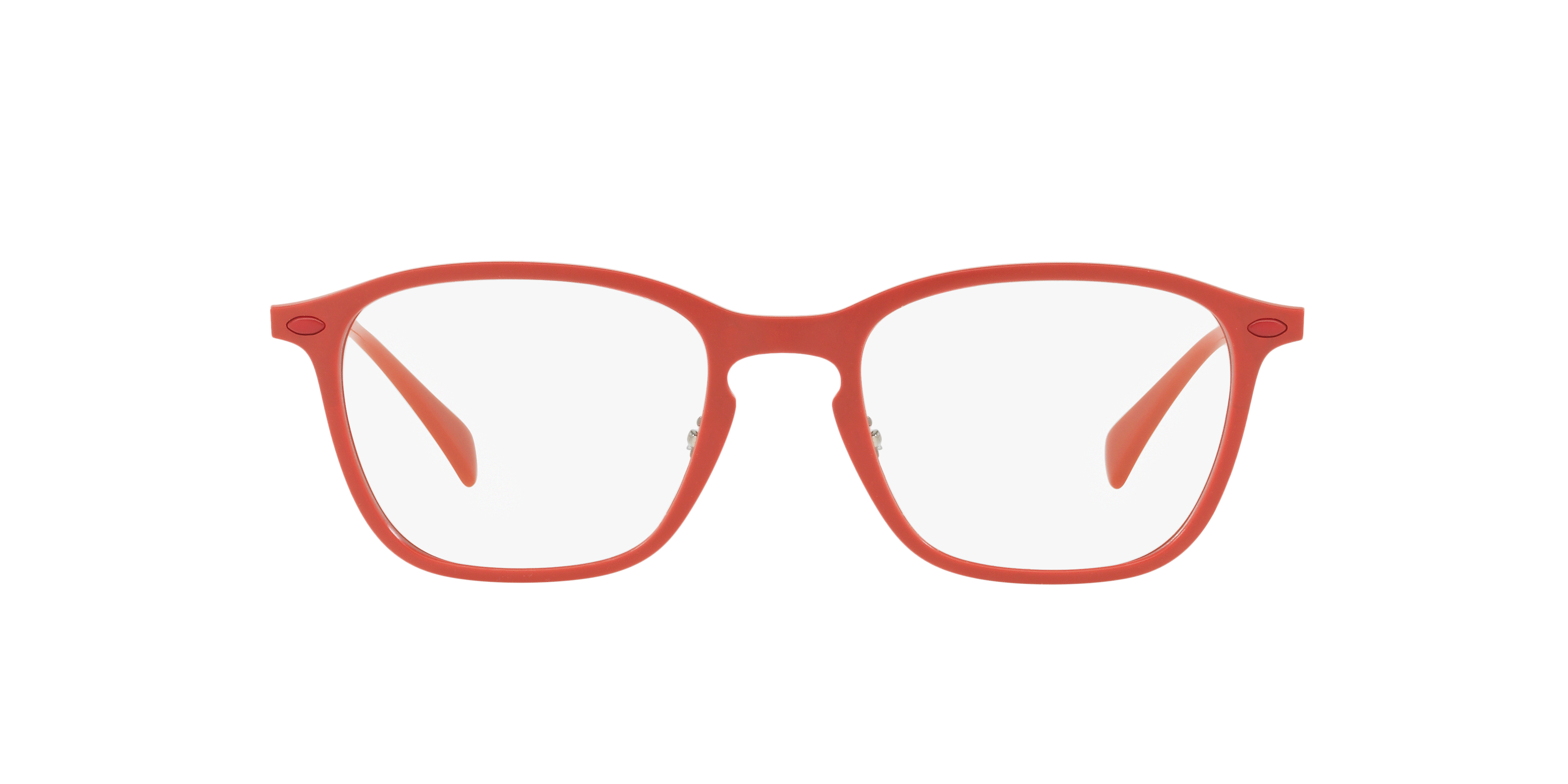 Ray-Ban RB8955 Optics