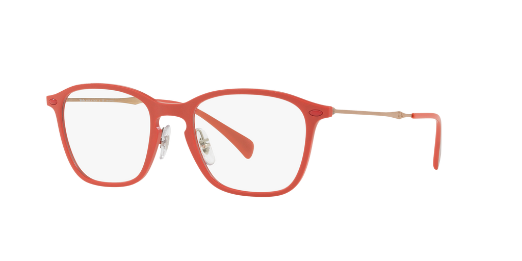 Ray-Ban RB8955 Optics