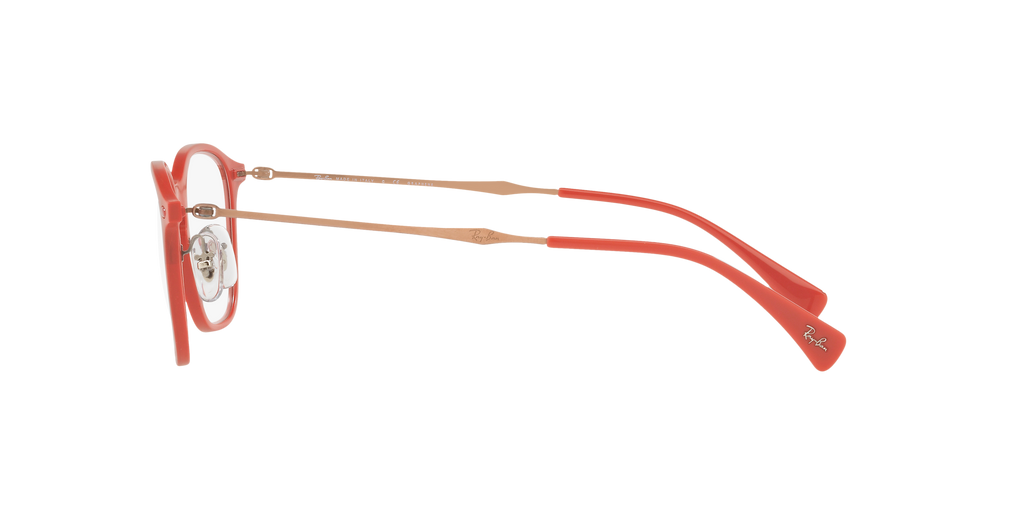 Ray-Ban RB8955 Optics
